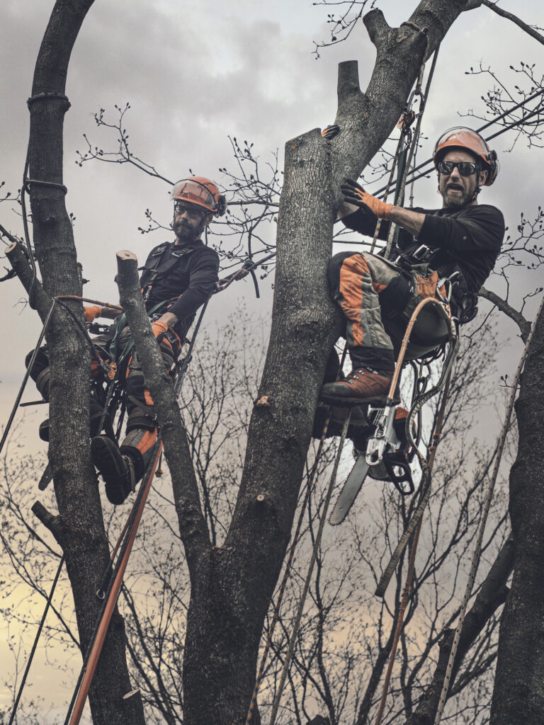 Baumpflege Team Frechen Über Uns
